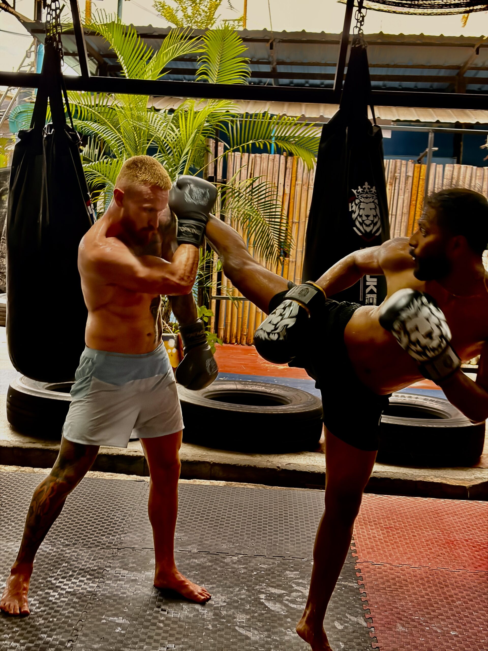 Two fighters training on the bags