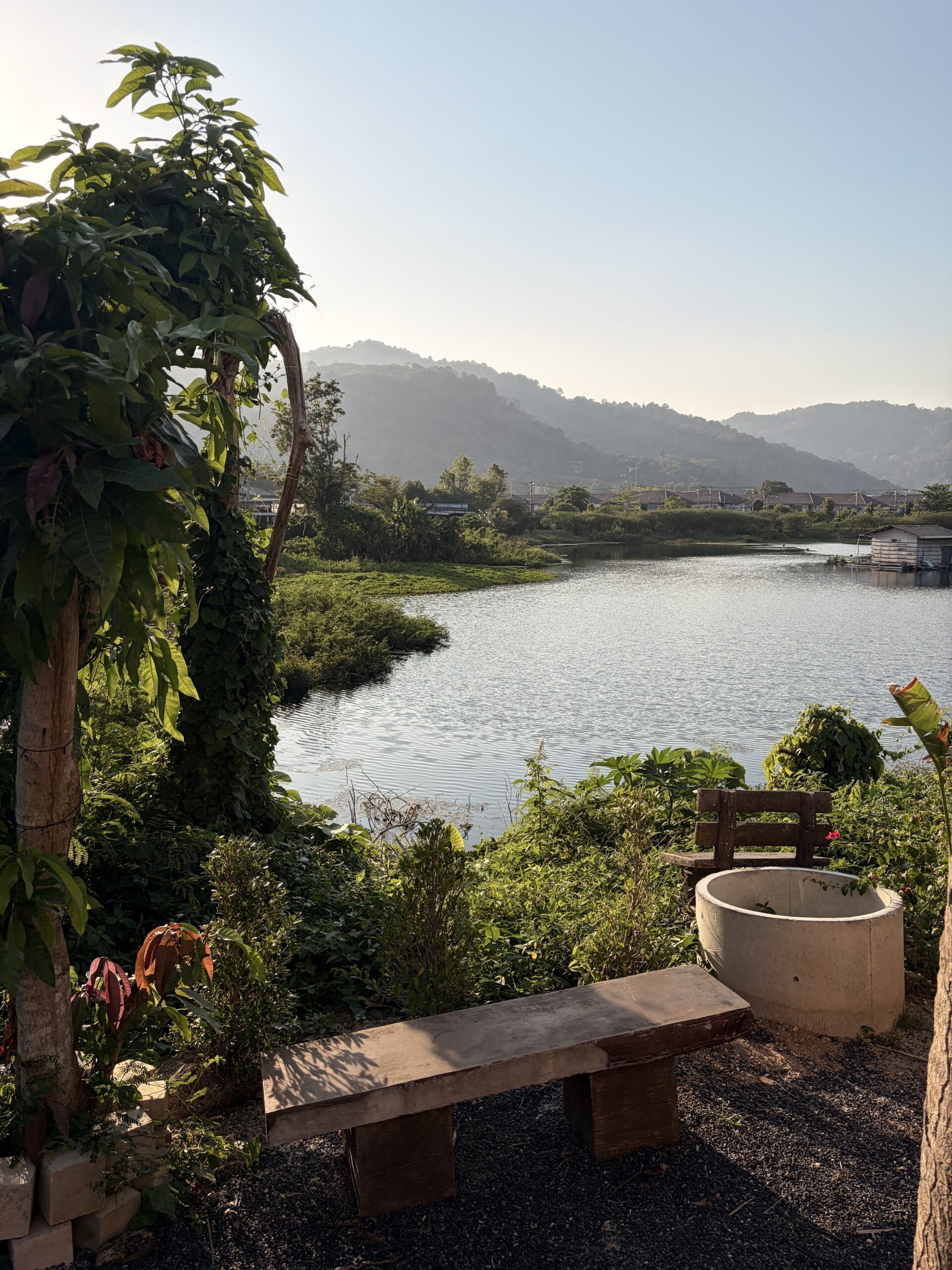 Where to Stay in Phuket for Muay Thai Training
